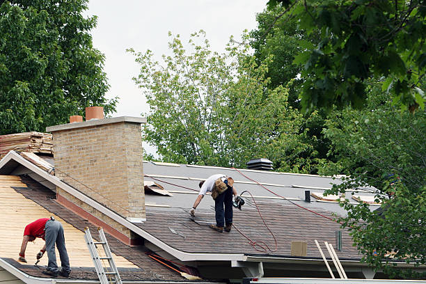 Best Metal Roofing Contractor  in Timpson, TX