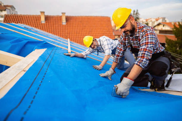 Best Roof Gutter Cleaning  in Timpson, TX